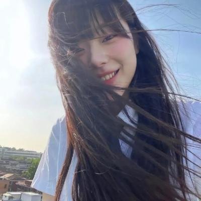 公鸡